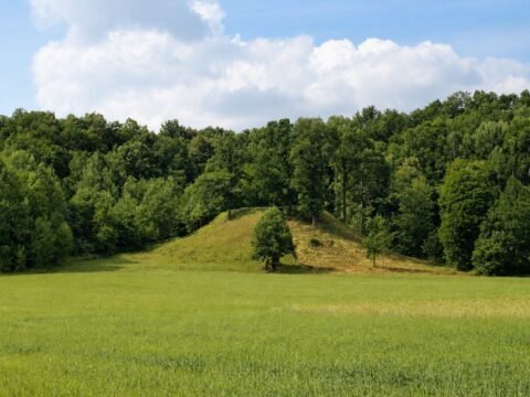 Bačkininkėlių piliakalnis – vieta, kur galėjo stovėti pagoniška šventykla