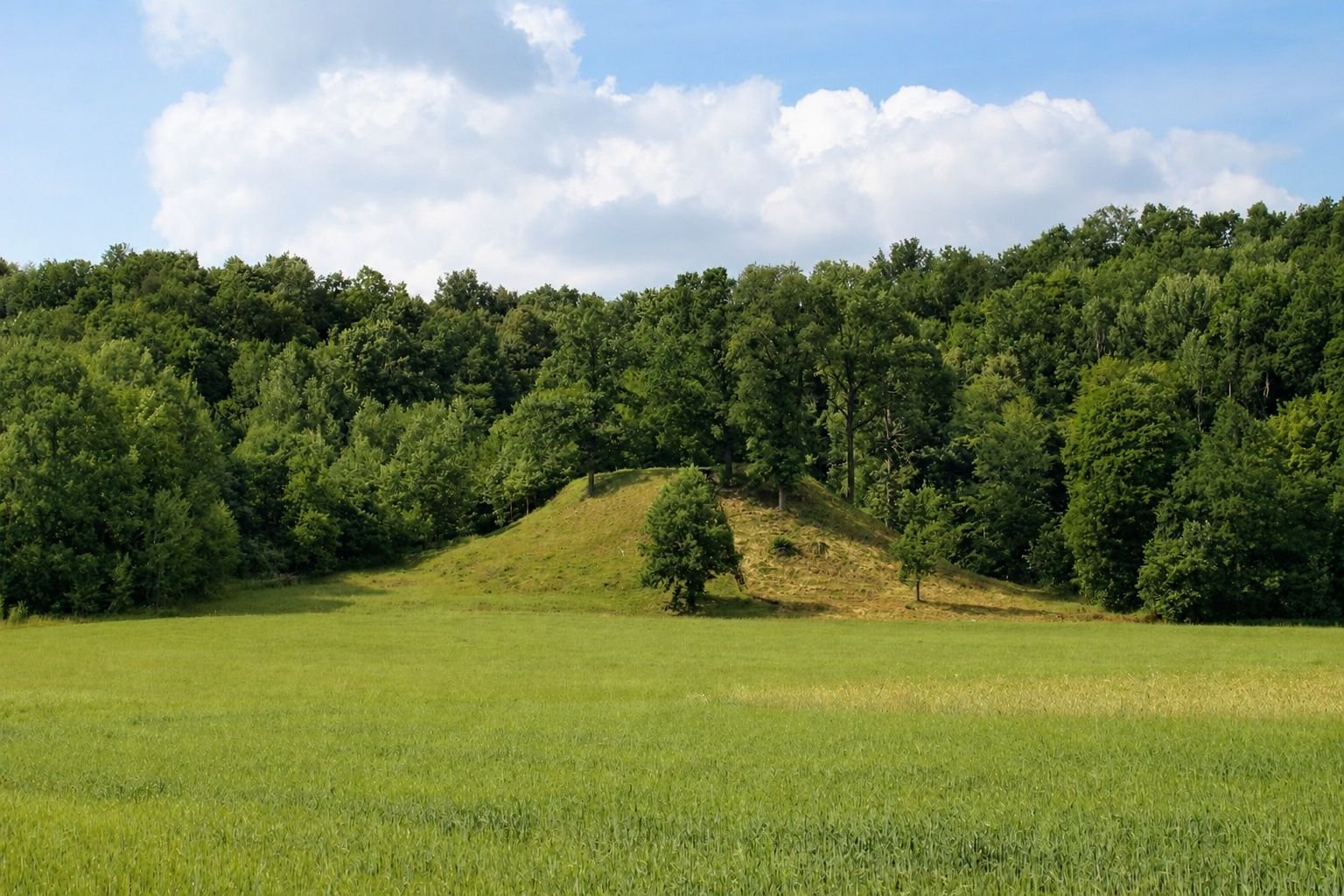 Bačkininkėlių piliakalnis