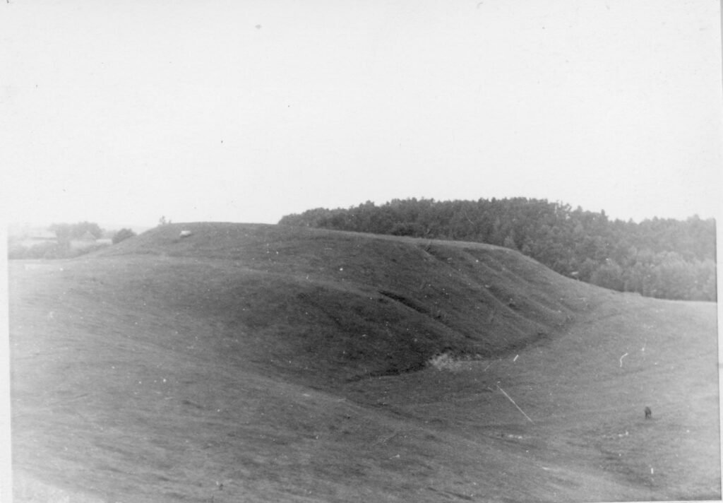 Piliakalnis. Molėtų rajonas. Vieniškių apylinkė. Liesėnų kaimas