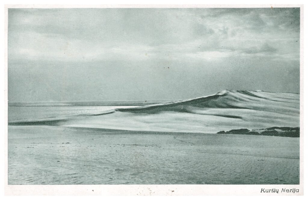 Kuršių nerija