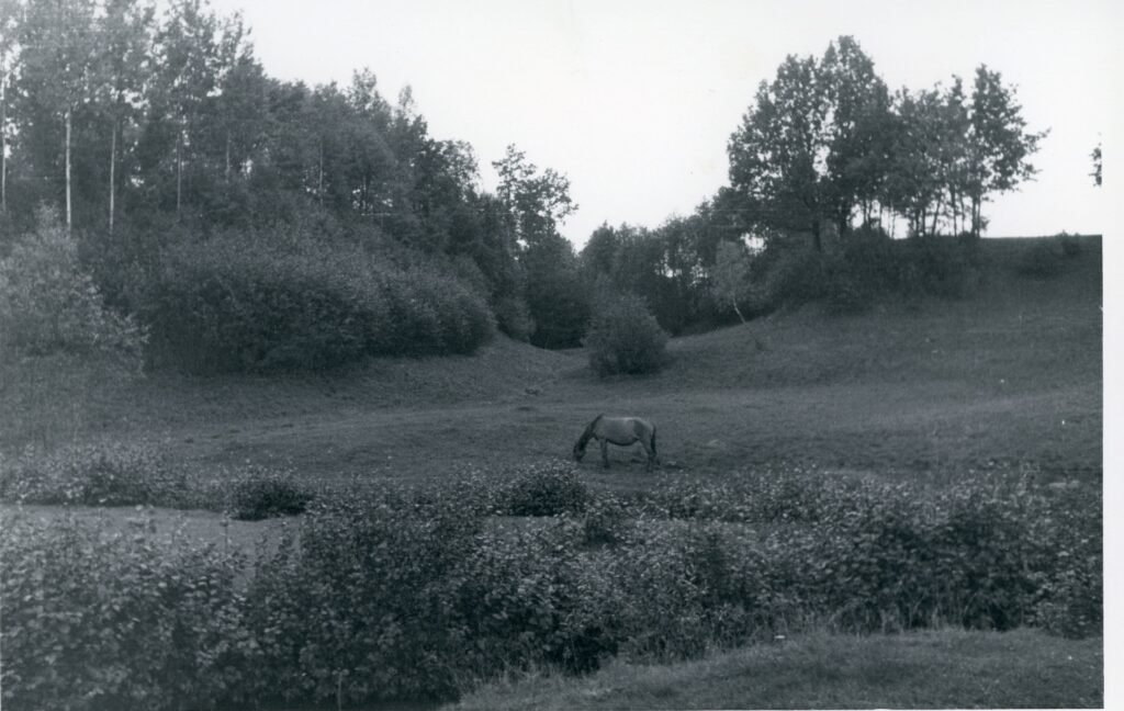Lazduonėnų piliakalnis
