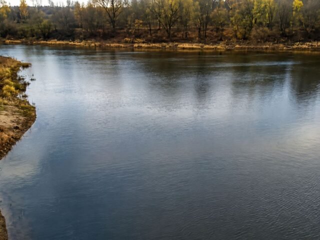 Raganė