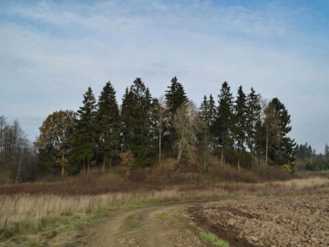 Galinių piliakalnis: senovės gyvenvietė prie Kražių