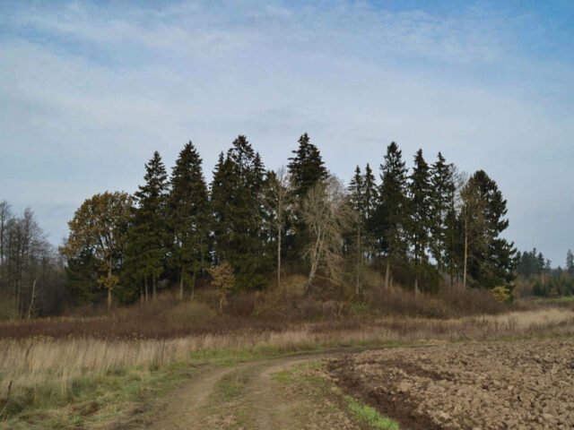 Galinių piliakalnis: senovės gyvenvietė prie Kražių