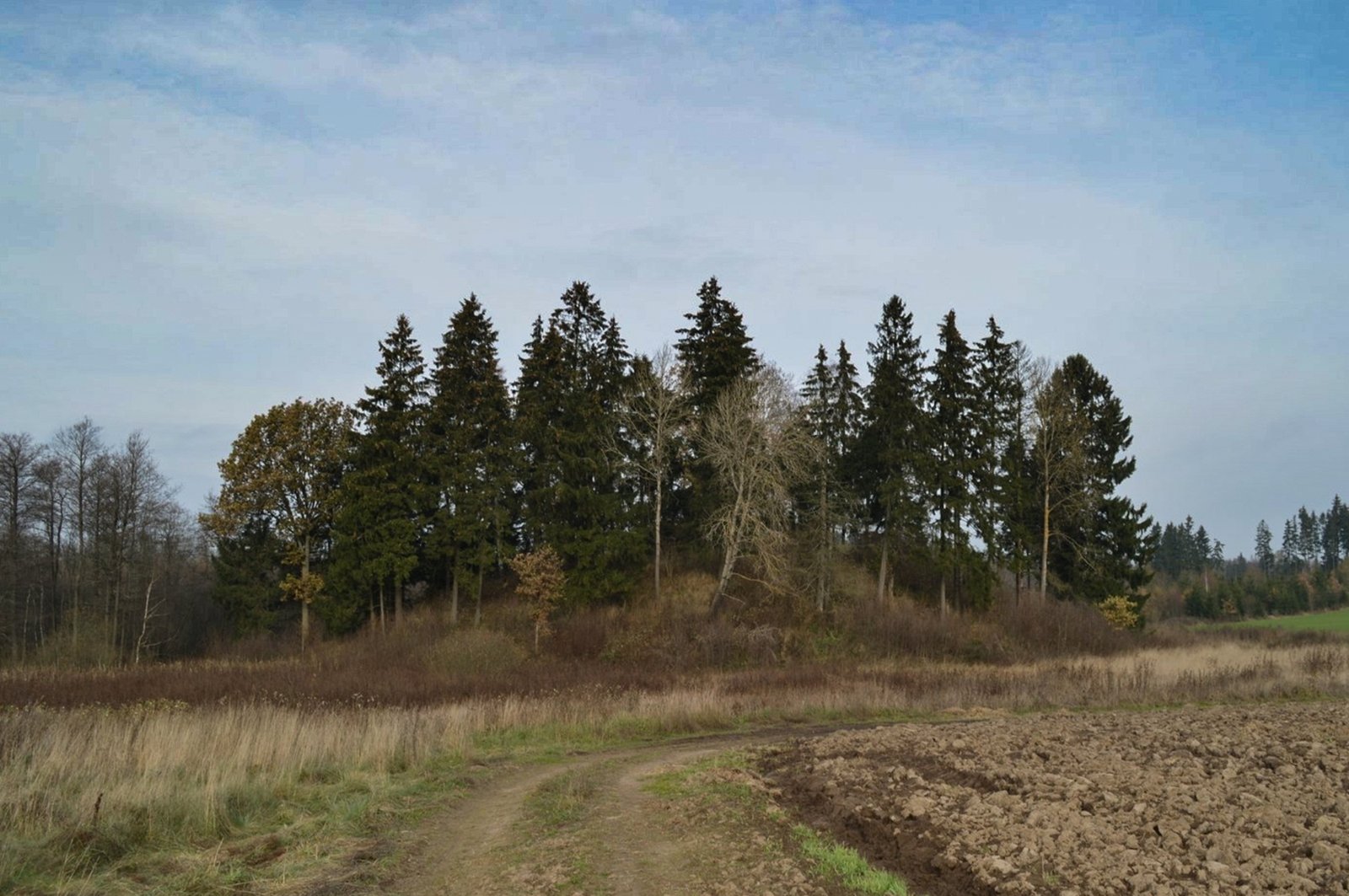Galinių piliakalnis