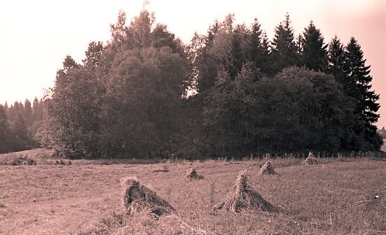 Galinių piliakalnis