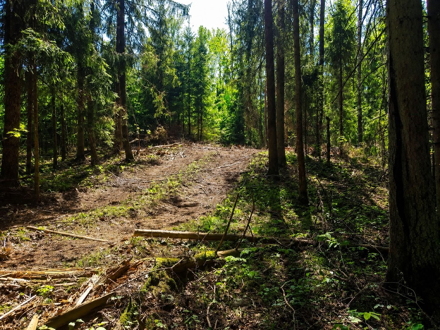 Koplyčkalnis Kamajų seniūnijoje, Rokiškio rajone