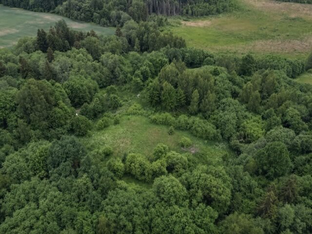 Papilalio piliakalnis – Pilimi vadinama kalva