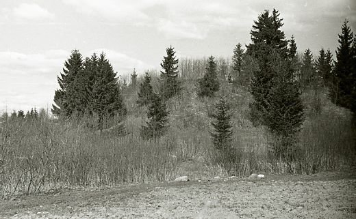 Papilalio piliakalnis, vadinamas Pilele. Kelmės rajonas. Papilalio kaimas