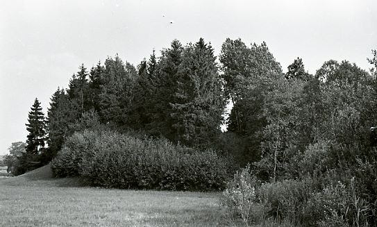 Piliakalnis, vadinamas "Plike." Kelmės rajonas. Galinių kaimas