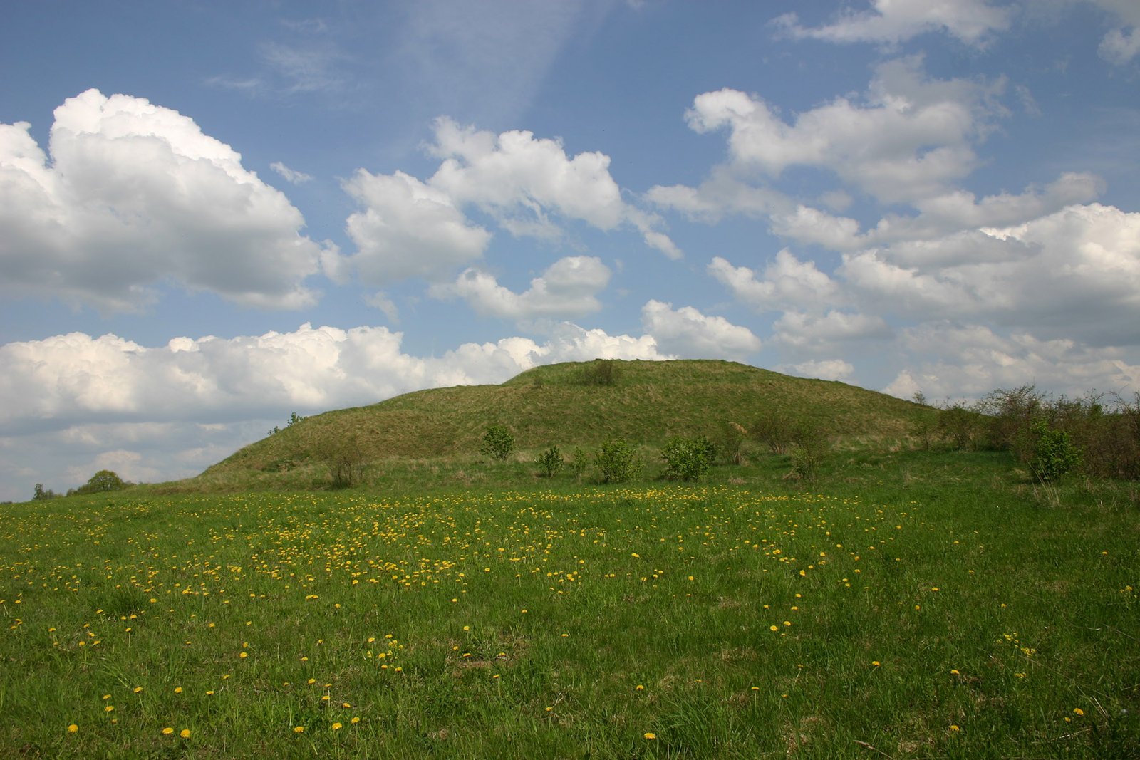 Plūsčių piliakalnis iš pietvakarių pusės