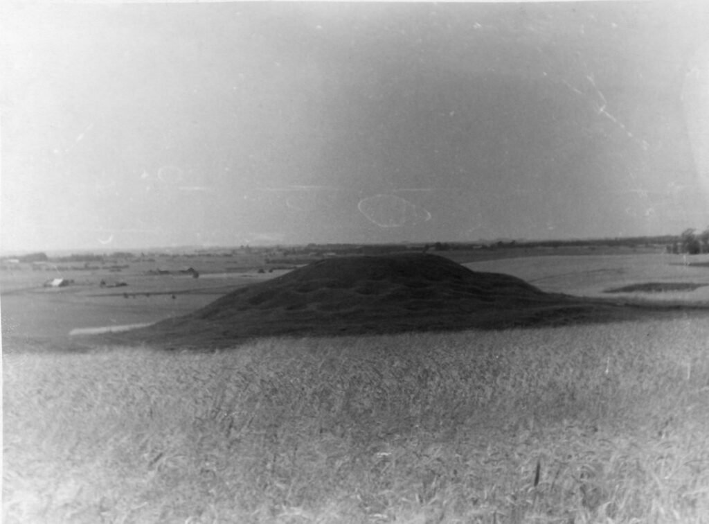 Plūsčių piliakalnis, vadinamas Pilike. Kelmės rajonas. Plūsčių apylinkė. Pluščių kaimas
