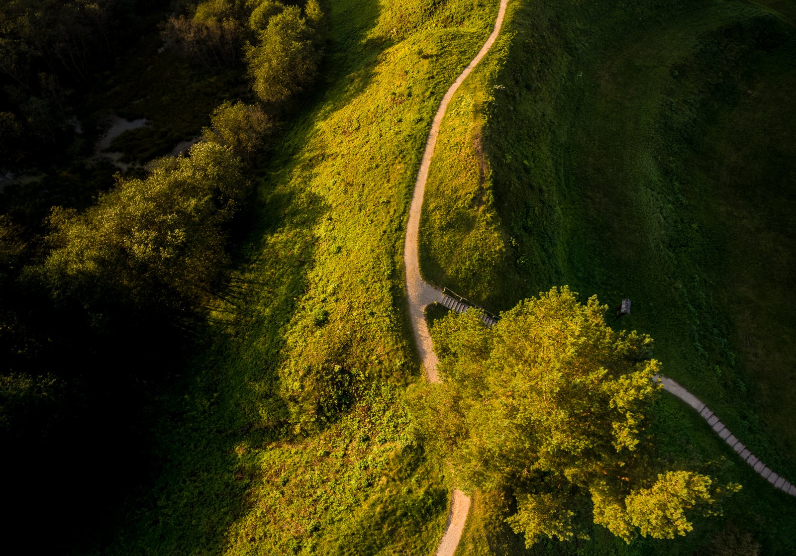 Bradeliškių piliakalnis