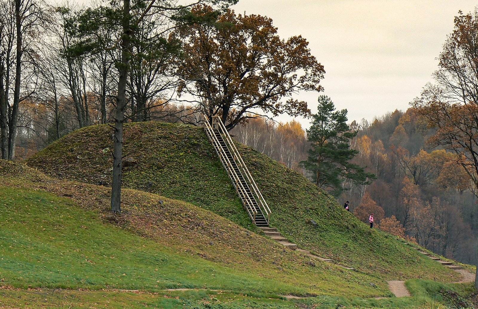 Buivydų piliakalnis pagr.