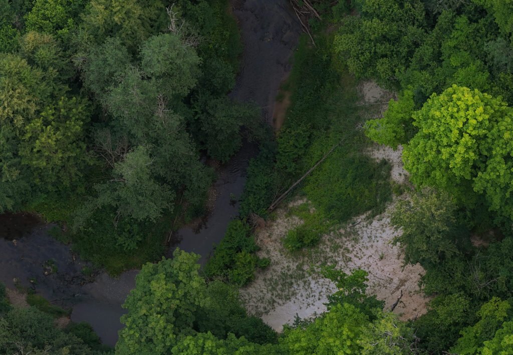 Velniakampio kilpų užantyje