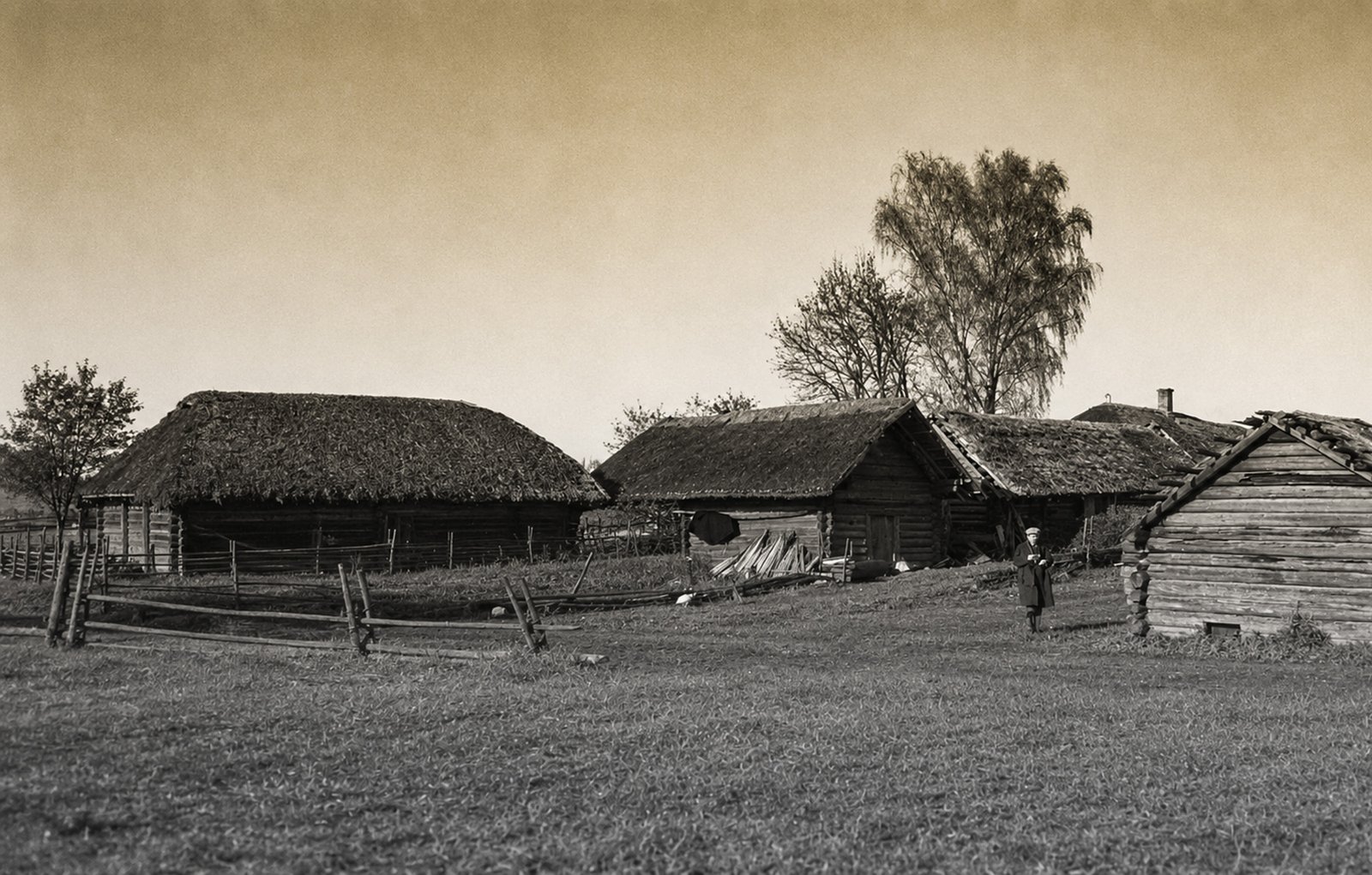 Vyžiai