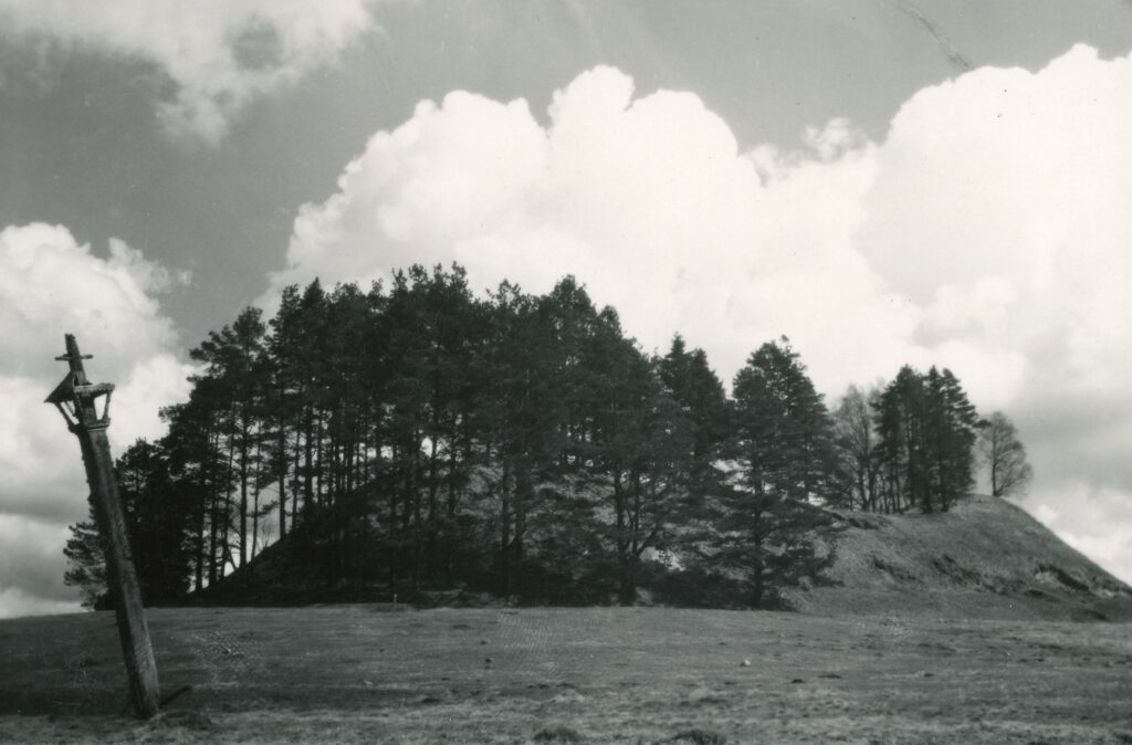 Bubių piliakalnis. Šiaulių apskritis. Padubysio valsčius. Bubių kaimas