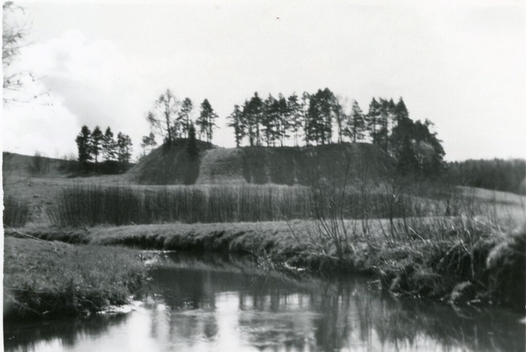 Piliakalnis, vadinamas "Pile." Šiaulių apskritis. Padubysio valsčius. Bubių kaimas