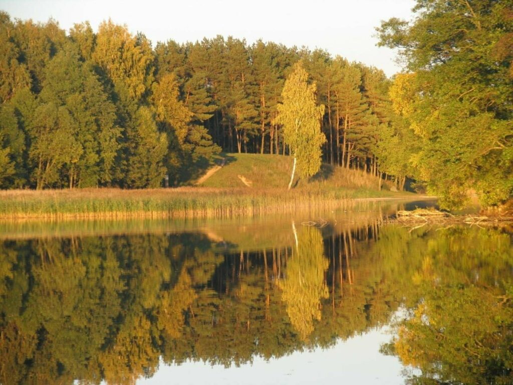 Tytuvėnų piliakalnis