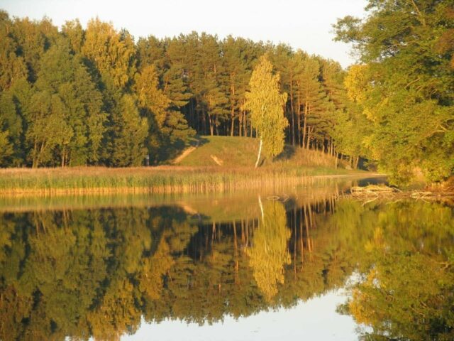 Tytuvėnų piliakalnis